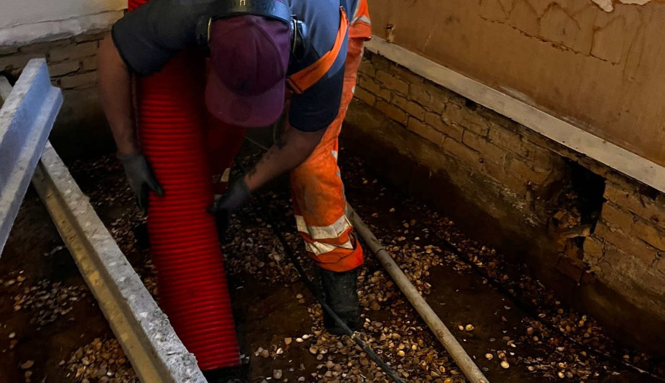 Schelpen zuigen met zuigtechniek